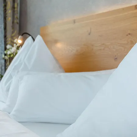 ألمروش فندق سالباخ هينترغليم