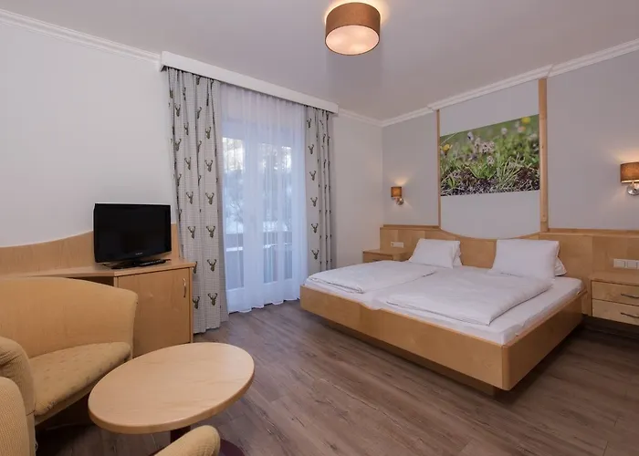 酒店 阿尔姆劳斯酒店